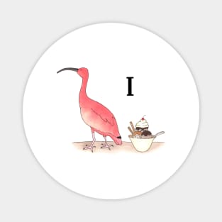 I is for Ibis Magnet